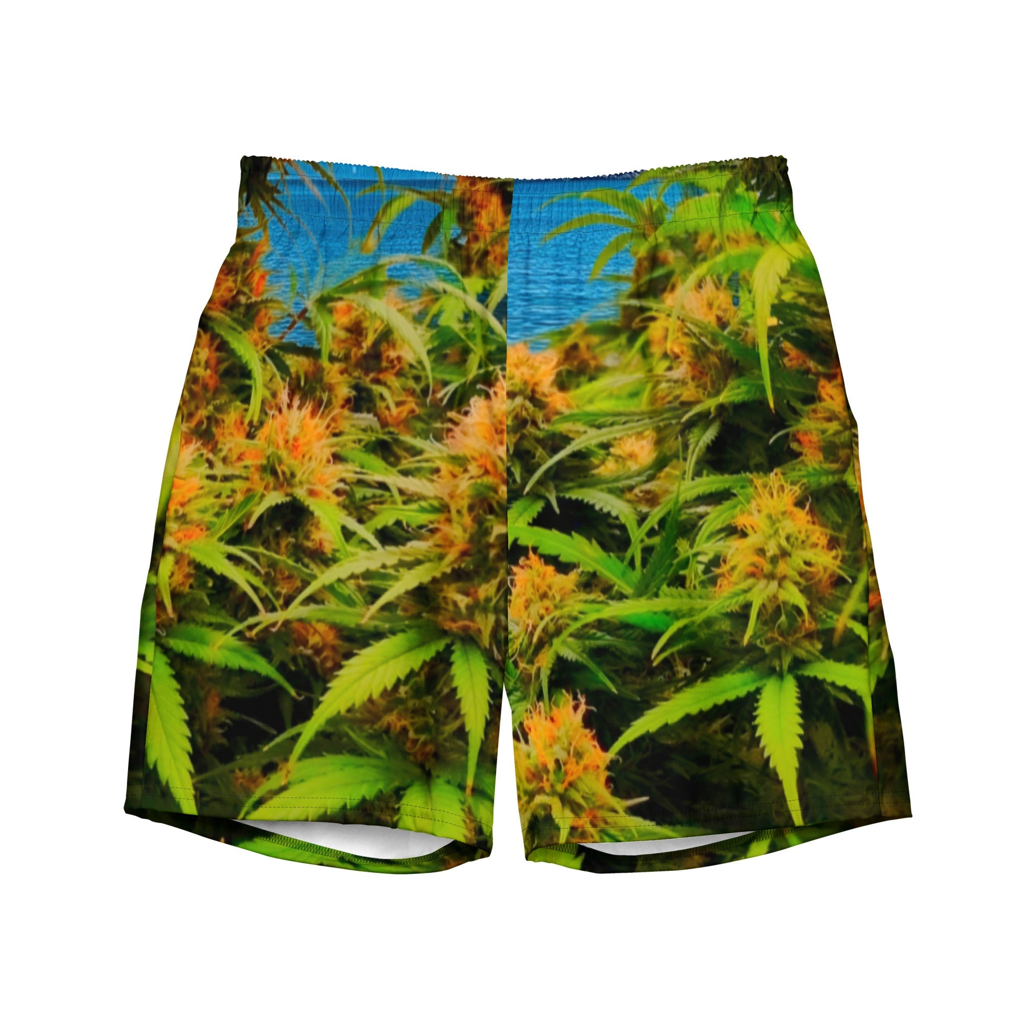 Men's swim shorts