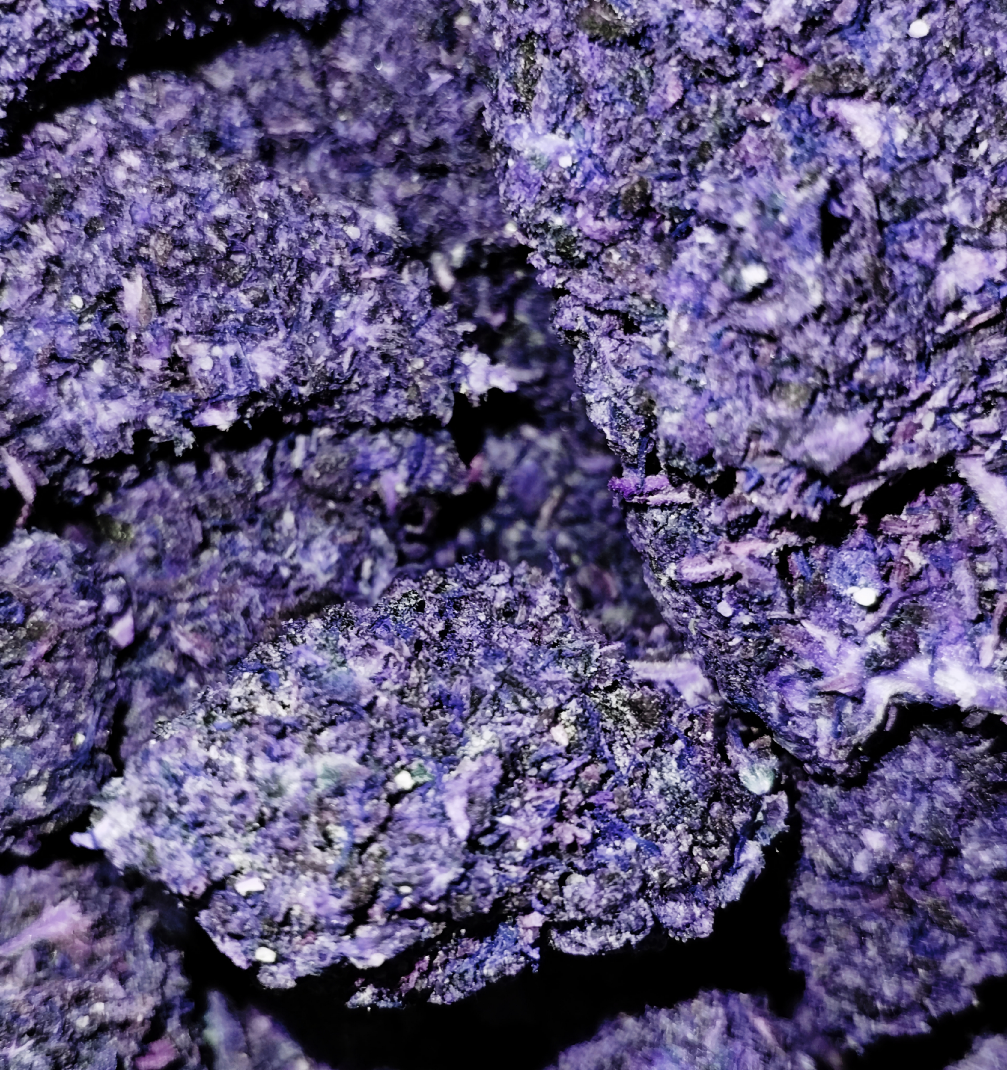 Cannaflauge Purp